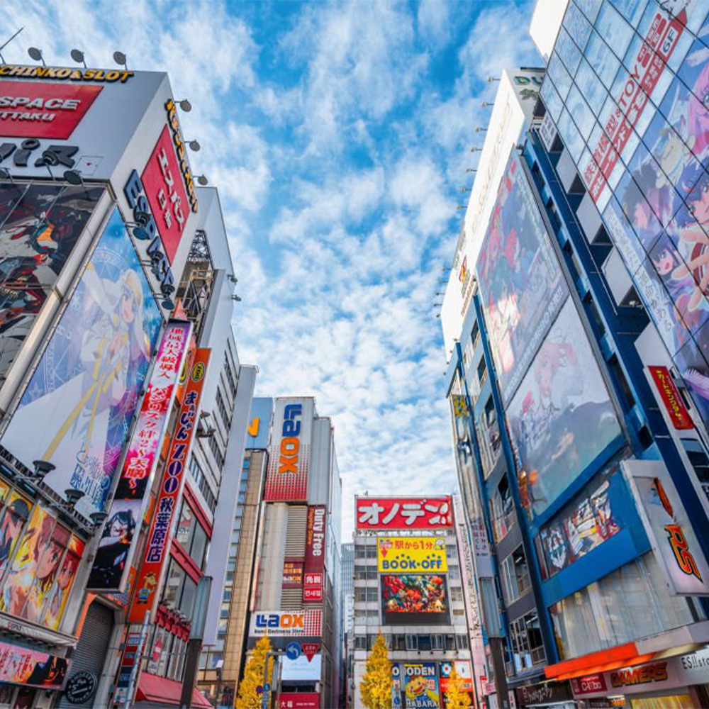 Anime & Manga Culture